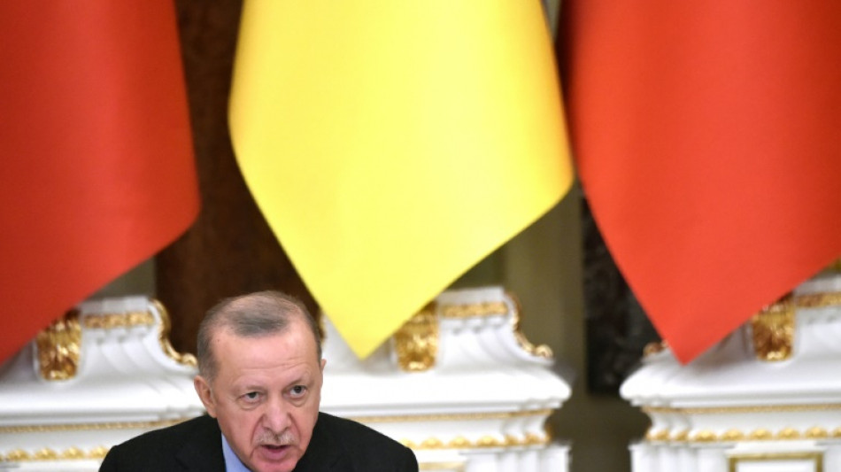 Erdogan kritisiert Nato-Partner f&uuml;r Vorgehen in Ukraine-Krise