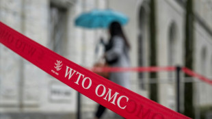 La incertidumbre en el comercio mundial podr&iacute;a generar "graves consecuencias negativas", advierte la OMC