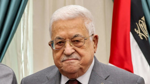 Personalidades palestinas critican a Abas por sus declaraciones pol&eacute;micas sobre el Holocausto