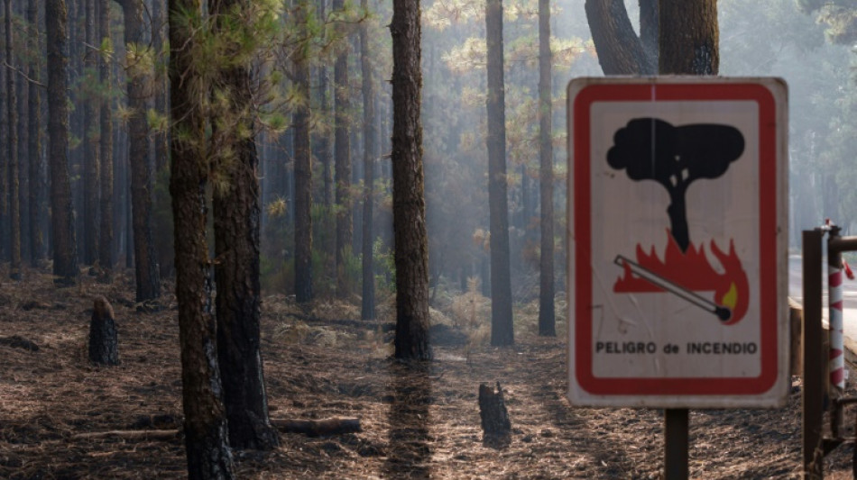 El incendio de Tenerife est&aacute; parcialmente "estabilizado", pero no controlado