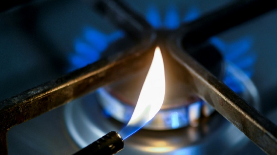 IW-Chef H&uuml;ther warnt vor Bevorzugung der Industrie bei Gasmangel