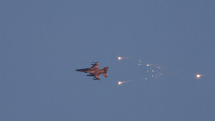 L'Idf smentisce l'Iran, 'nessun caccia &egrave; stato abbattuto'