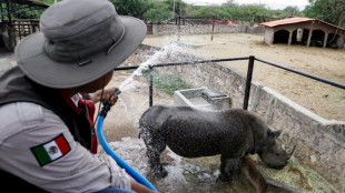 México registra 155 muertes por la temporada de calor