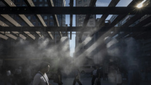 2025 apunta a ser el segundo a&ntilde;o m&aacute;s caluroso en registros, seg&uacute;n el monitor europeo