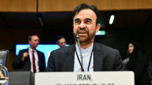 Irán afirma que enviará pronto su propuesta a EEUU sobre programa nuclear