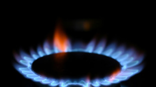 Bundesnetzagentur startet Umfrage zu Gasverbrauch bei Gro&szlig;verbrauchern