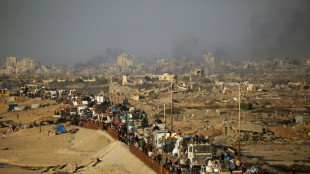 Trump propose aux pays de la région un nouveau plan pour Gaza, selon son émissaire