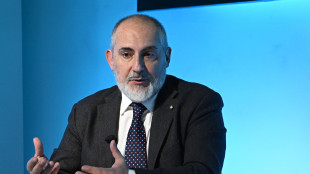 Donnarumma (Fs), puntiamo ad Alta velocità in Germania