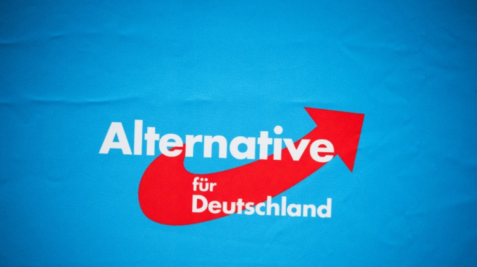 AfD-Fraktion mit weiterem Bewerber f&uuml;r Bundestagspr&auml;sidium gescheitert