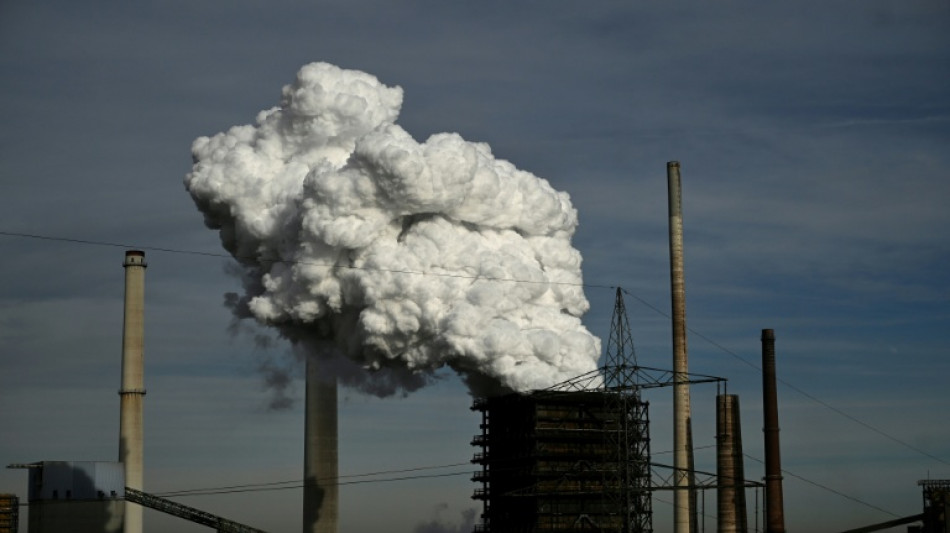 German business morale still muted in January 