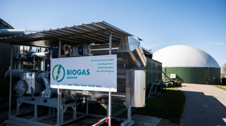 Alemania vuelve a fijarse en el biog&aacute;s para cortar lazos con Rusia
