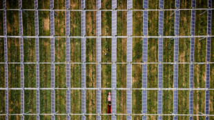 Vinicultura conectada para hacer frente a la amenaza clim&aacute;tica