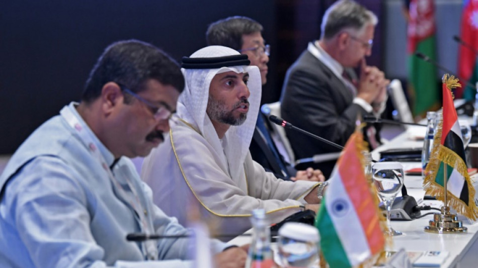 Emiratos &Aacute;rabes reitera su compromiso con la OPEP+
