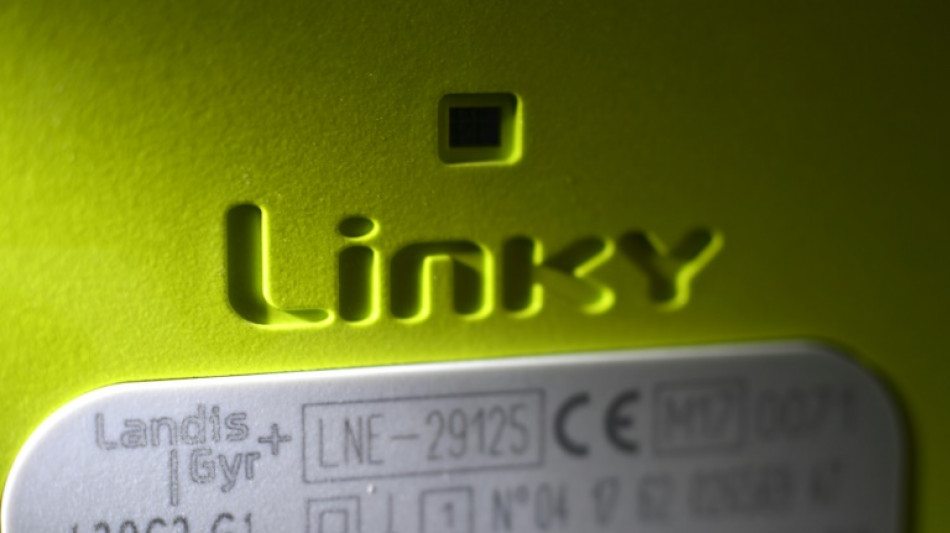 Une centaine d'opposants aux compteurs Linky d&eacute;bout&eacute;s
