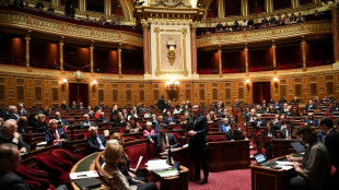 Retraites: les s&eacute;nateurs entrent dans le dur, gr&egrave;ve reconductible dans la fili&egrave;re &eacute;nergie 