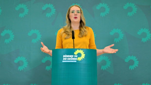 Dr&ouml;ge kritisiert neues Klimaschutzprogramm als "dreiste T&auml;uschung"