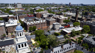 Giudice, mantenere status quo sui visti per Harvard