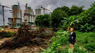 Hong Kong rase des villages pour b&acirc;tir sa Silicon Valley