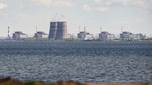 Ukraine: nouvelles frappes &agrave; la centrale nucl&eacute;aire de Zaporijjia, "le temps presse", dit l'AIEA