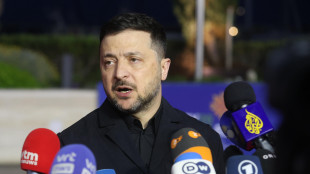 Zelensky, 'droni russi hanno colpito due volte un veicolo dell'Onu a Kherson'