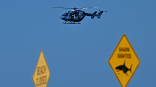 Un ni&ntilde;o lucha por su vida tras un ataque de tibur&oacute;n en Australia