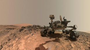 De nouveaux &eacute;l&eacute;ments constitutifs de la vie d&eacute;couverts sur Mars
