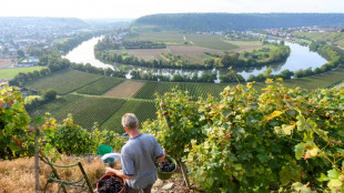 Keine gewerblichen E-Scooter-Touren in rheinland-pfälzischen Weinbergen