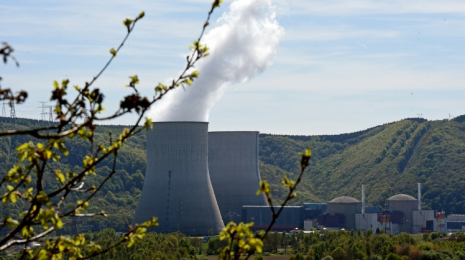 Suret&eacute; nucl&eacute;aire, climat et prix de l'&eacute;l&eacute;ctricit&eacute;: deux lois &eacute;nergie en pr&eacute;paration, indique Agn&egrave;s Pannier-Runacher