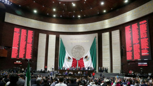 M&eacute;xico lanza la nacionalizaci&oacute;n de su litio  