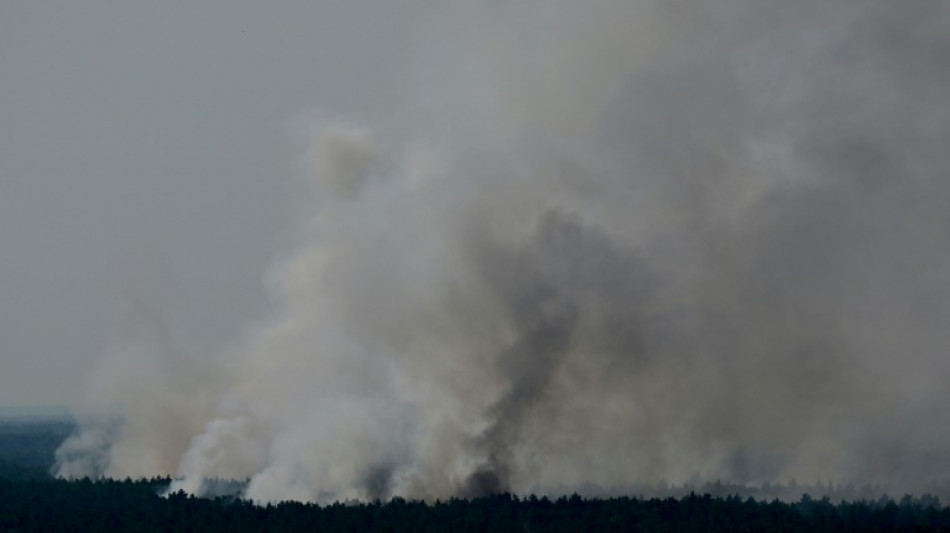 Feuerwehr macht Fortschritte bei L&ouml;schen von Gro&szlig;brand im Berliner Grunewald