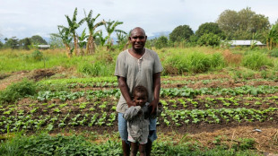 'Backyard fireworks' of WWII bombs still litter Solomon Islands