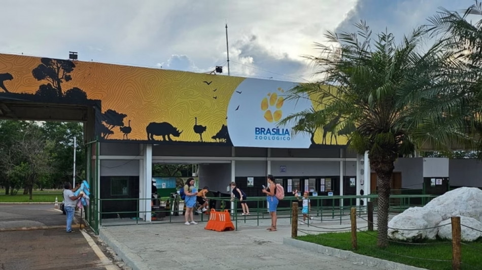 Chiude lo zoo di Brasilia per casi sospetti di influenza aviaria