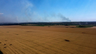 Russia and Ukraine seek to break grain impasse in Turkey