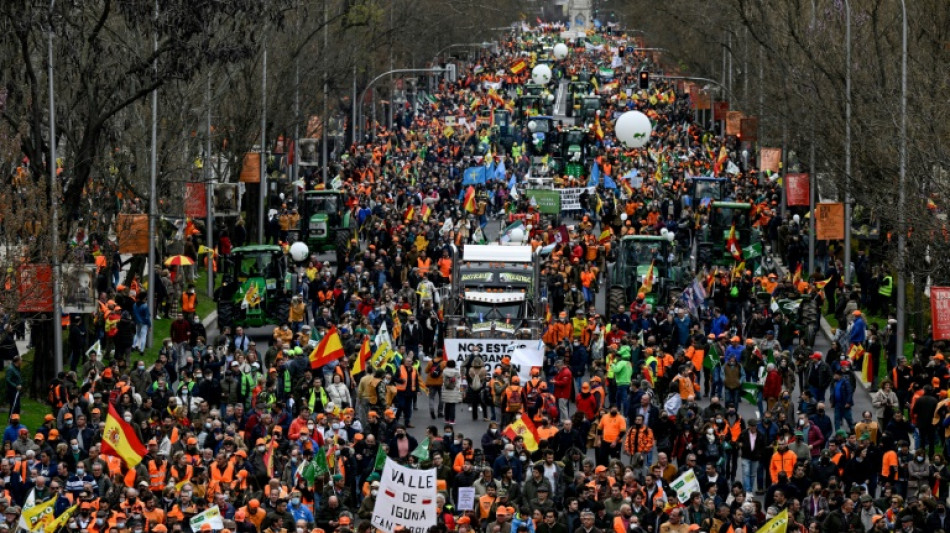 A Madrid, 150.000 agriculteurs et &eacute;leveurs manifestent contre la hausse des prix des carburants