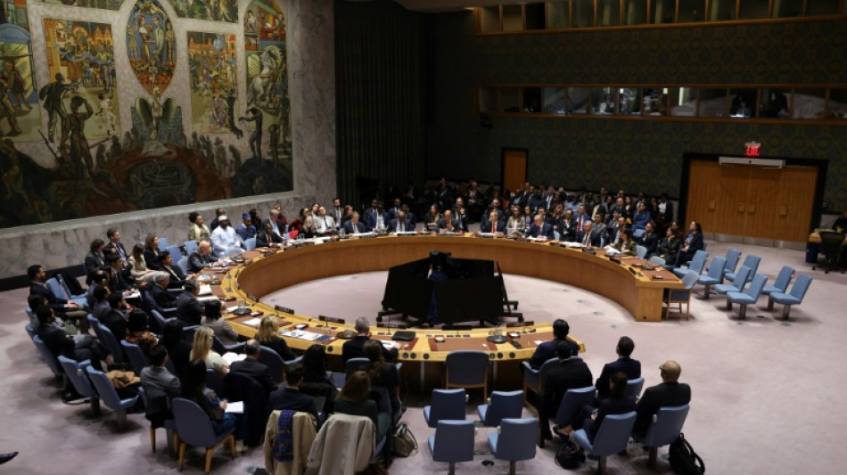 Vote &agrave; l'ONU: Isra&euml;l salue le plan Trump pour Gaza, le Hamas s'oppose &agrave; une force internationale