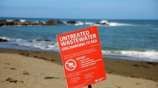 New Zealand mayor swims to allay sewage contamination fears