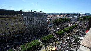 Organizzatori, siamo oltre 100.000 al Pride a Budapest