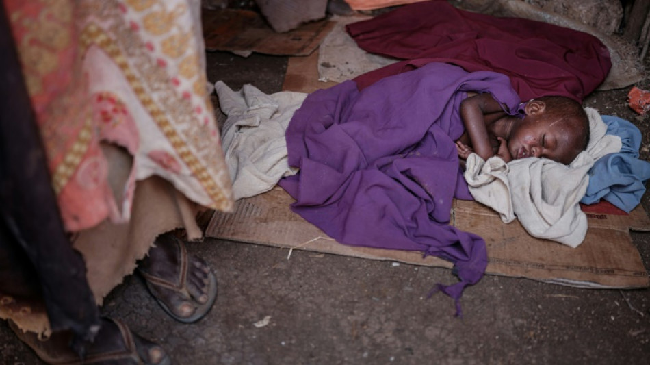 Dans la Corne de l'Afrique, la s&eacute;cheresse menace 13 millions de personnes