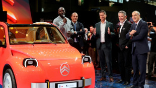 Mit Picknick-Korb: Neue E-Ente auf Pariser Automesse vorgestellt