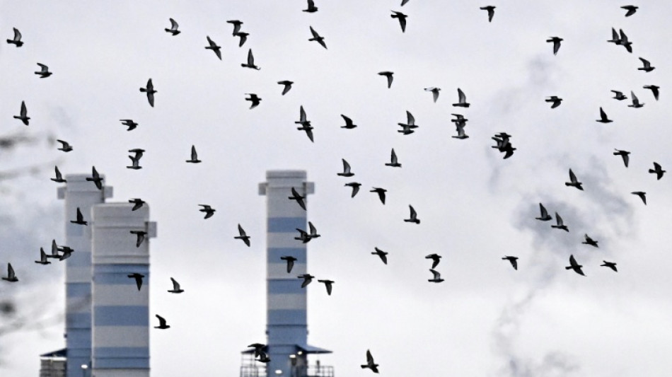 Klingbeil: "Gute L&ouml;sung" zur Strompreiskompensation mit EU gefunden