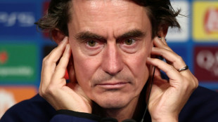 Ligue des champions: Tottenham, la grosse avarie avant Paris