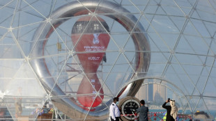 Mondial-2022: 17 millions de billets demand&eacute;s (Fifa)
