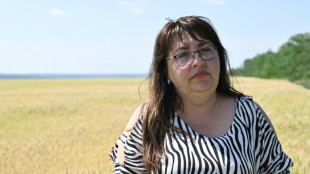 Le d&eacute;sespoir des fermiers ukrainiens otages du blocus des c&eacute;r&eacute;ales
