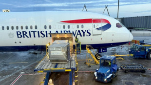 British Airways suspende hasta junio algunos vuelos hacia Oriente Medio