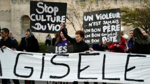 Only man to appeal in Gisele Pelicot case says not a 'rapist'