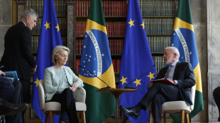 Ue tratta con il Brasile su litio e terre rare strategiche