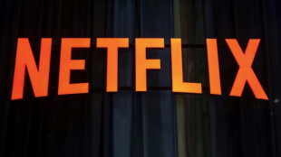 Netflix passe la barre des 10 millions d'abonn&eacute;s en France 