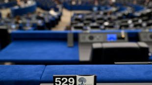 Pr&uuml;fverfahren gegen EU-Parteienfamilie der AfD wegen m&ouml;glicher Verst&ouml;&szlig;e gegen EU-Werte