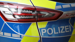 Polizei stoppt Spritztour von vier Kindern mit Wohnmobil in Schleswig-Holstein