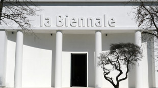 Biennale Arte, nascono i Leoni dei visitatori, anche Russia e Israele per i premi